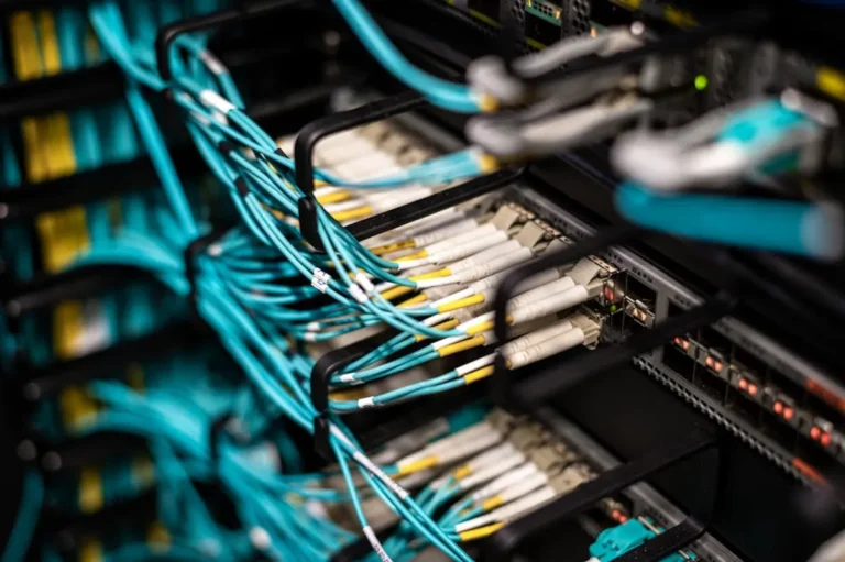 How freefast.co.uk Connects With the Way People Discover Websites Online