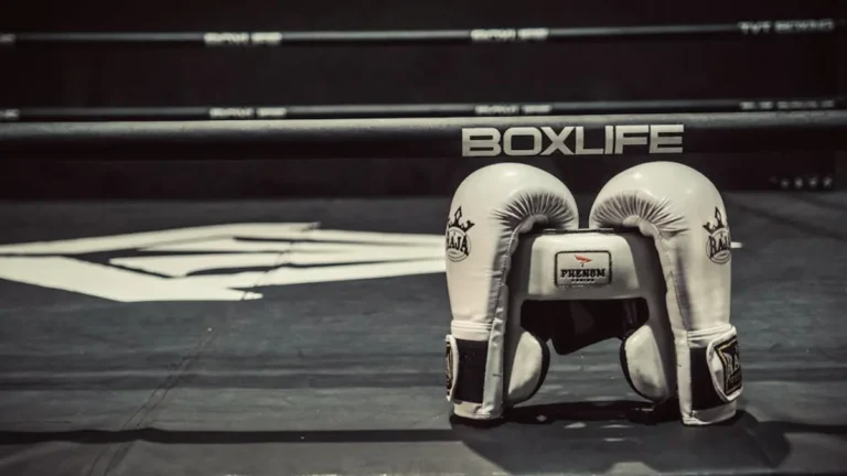 Irish Boxing Search Intent: Webmaster Context, Safety, and Alternatives