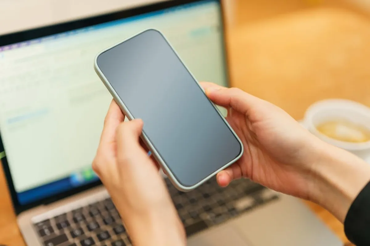 Portalnewsletter Search Intent: Webmaster Context, Safety, and Alternatives